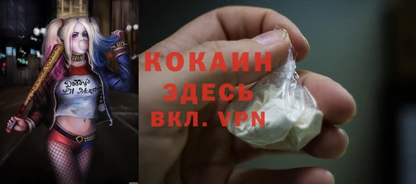 Альфа ПВП Верея