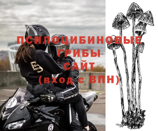 ПСИЛОЦИБИНОВЫЕ ГРИБЫ Верхнеуральск