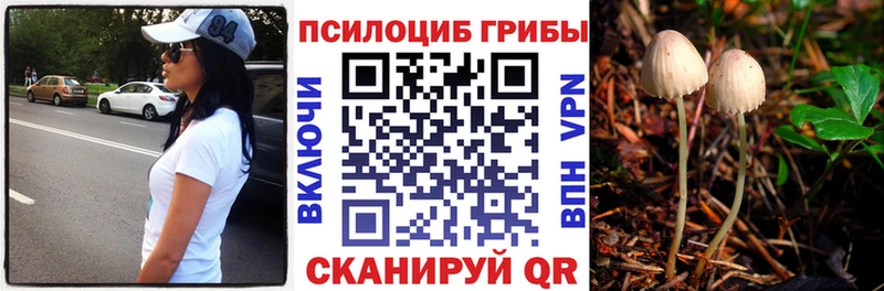 даркнет формула Симферополь Псилоцибиновые грибы GOLDEN TEACHER